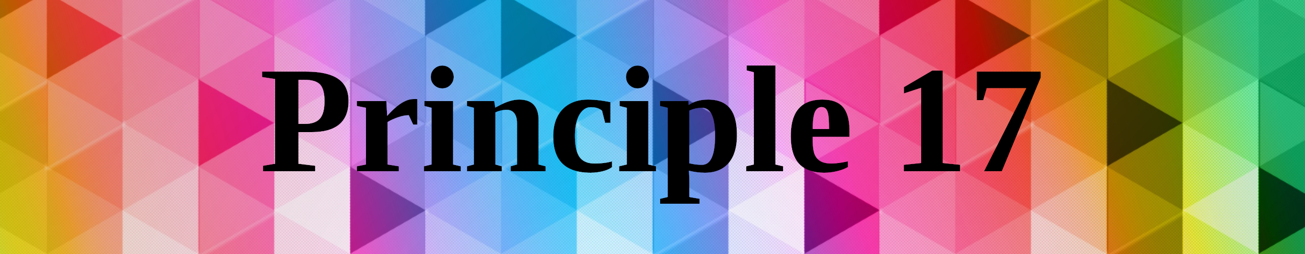 Principle 17 in zwarte letters, op een achtergrond van gekleurde driehoeken, deels in transgender kleuren (blauw, wit, roze) en deels in regenboogkleuren.